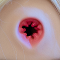 Love doll Head depth